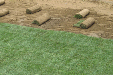 A new sod installation can make your lawn look brand new!