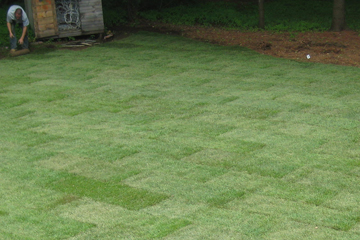 Every sod installation we do is designed to meet the specific needs of your soil.