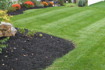 Green Boys Landscapes weekly lawn mowing, mulch installation, and perennial plantings.